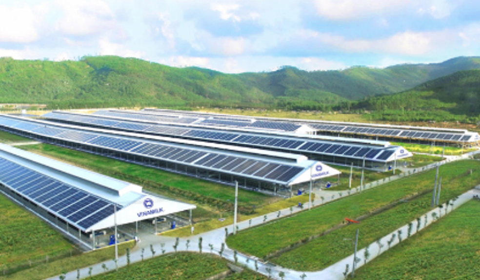 Siêu[-]dự[-]án[-]trang[-]trại[-]của[-]Vinamilk[-]tại[-]Lào[-]sẽ[-]“cho[-]sữa”[-]vào[-]đầu[-]năm[-]2022